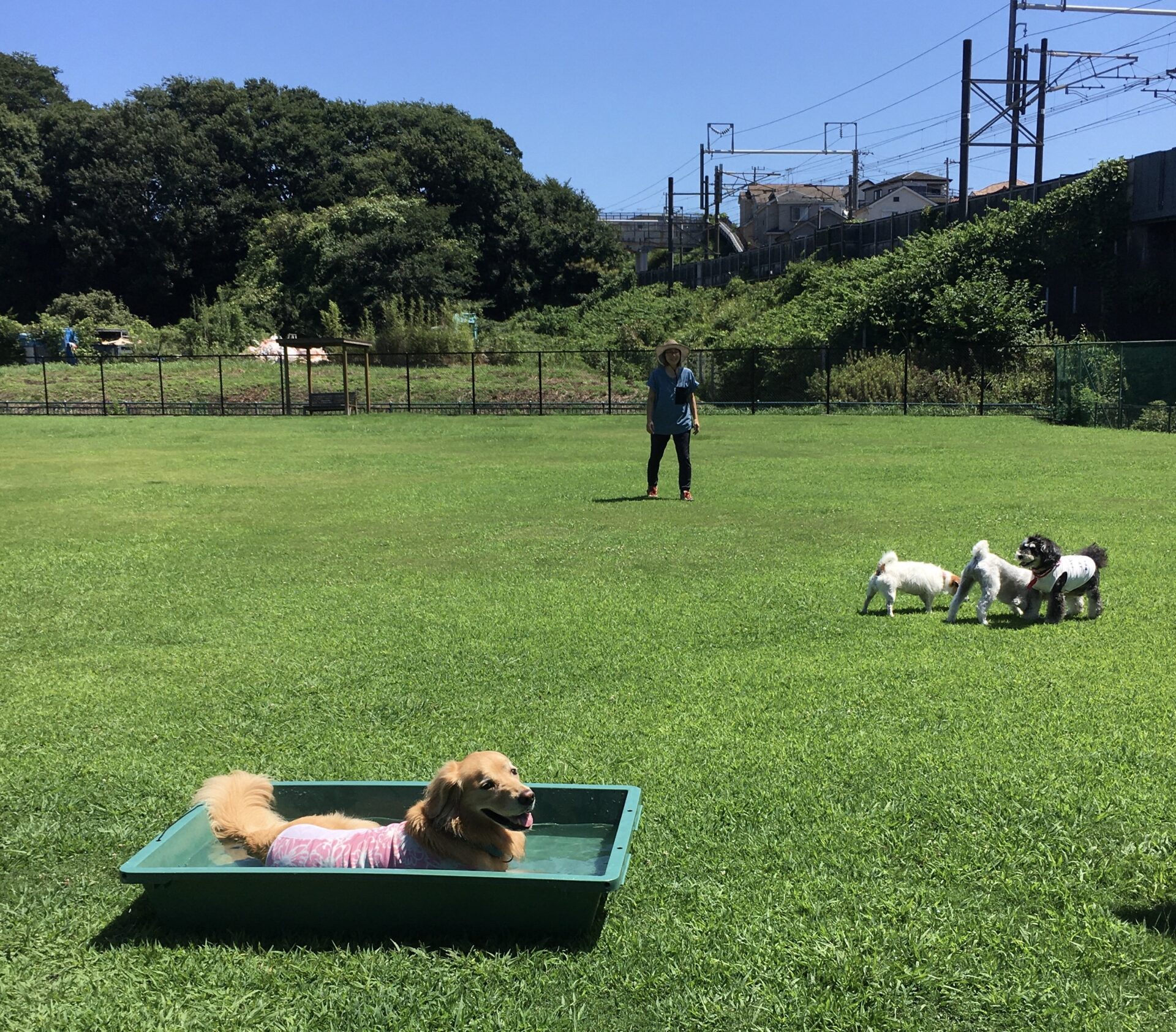 ファイル 8621-4.jpeg