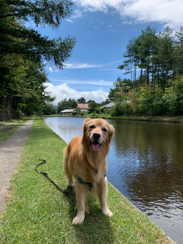 ファイル 8623-1.jpg