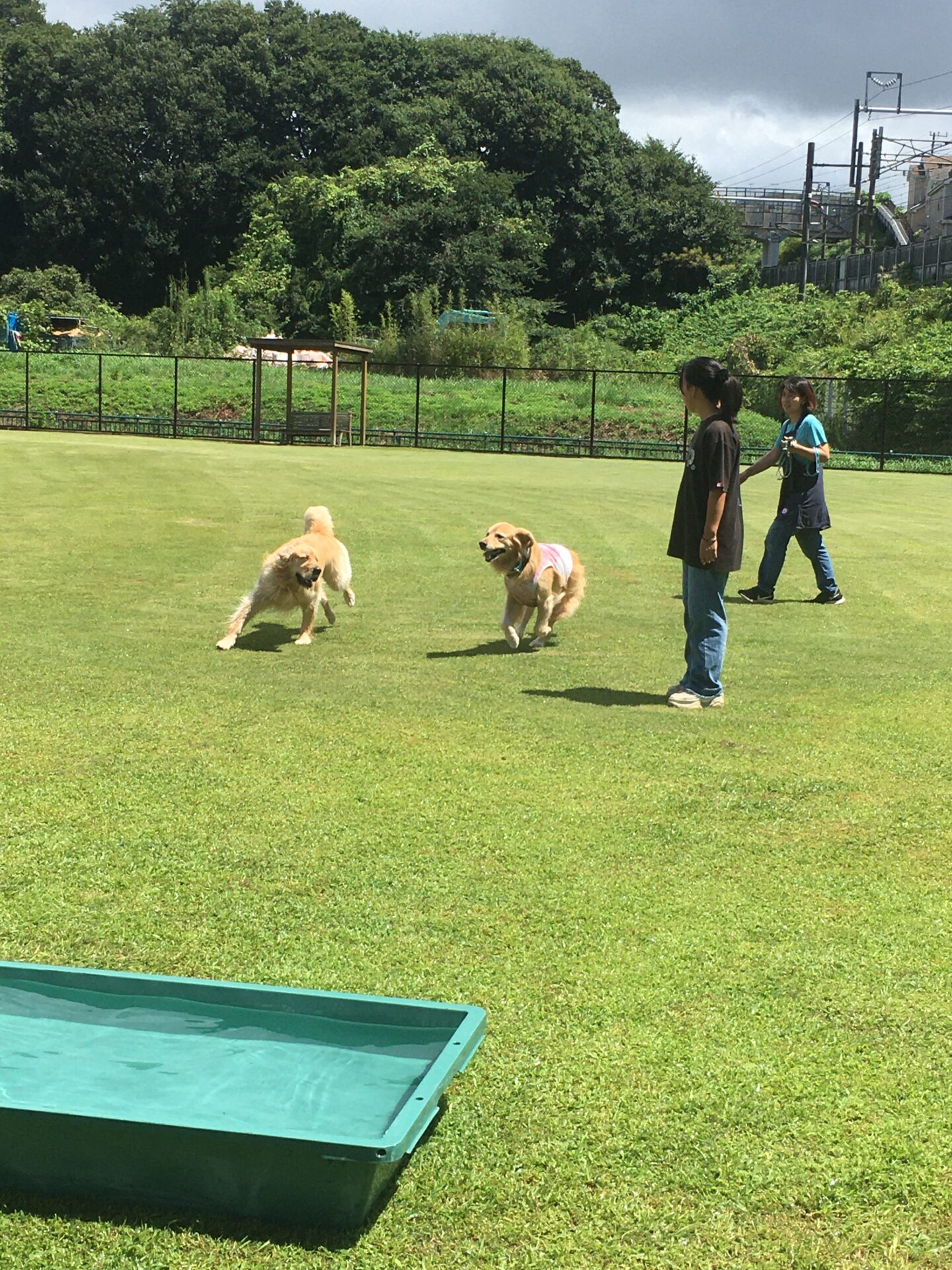 ファイル 8624-2.jpeg