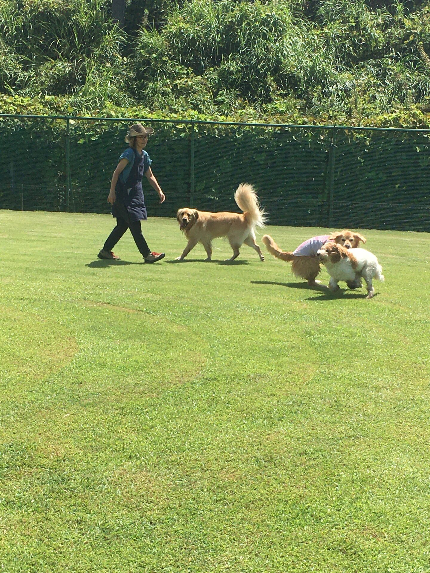 ファイル 8624-5.jpeg