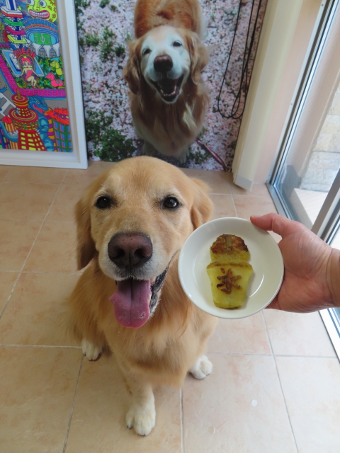 ファイル 8625-2.jpg