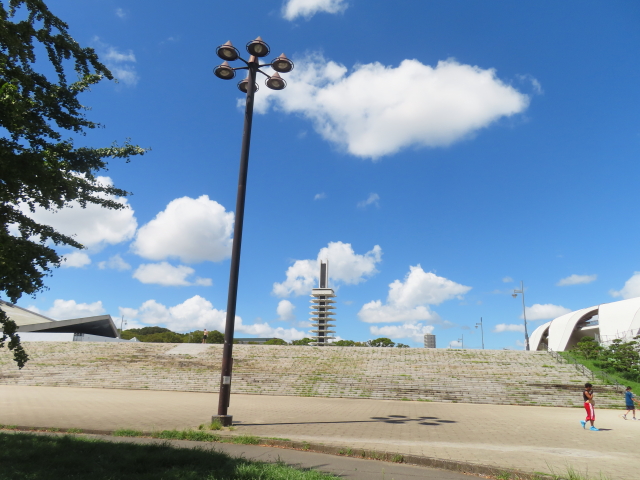 ファイル 8625-3.jpg