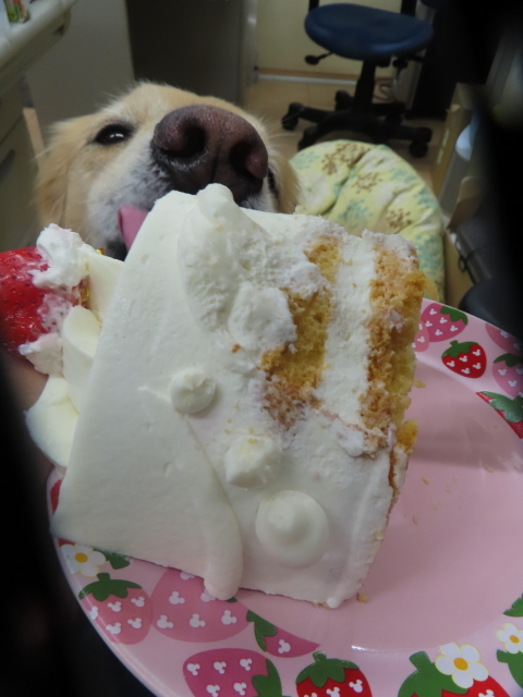 ファイル 8625-5.jpg