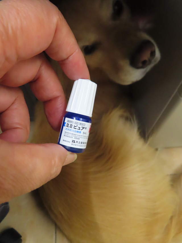 ファイル 8626-2.jpg