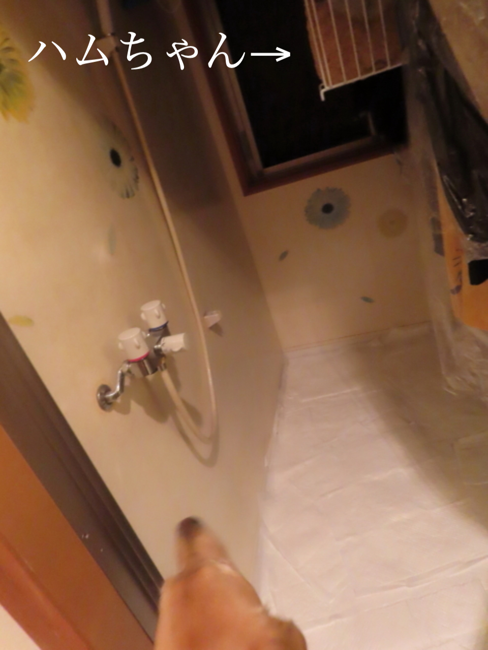 ファイル 8626-3.jpg