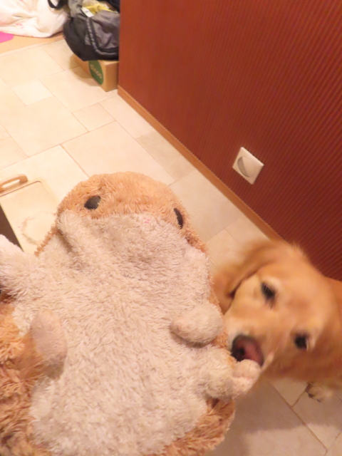 ファイル 8626-4.jpg