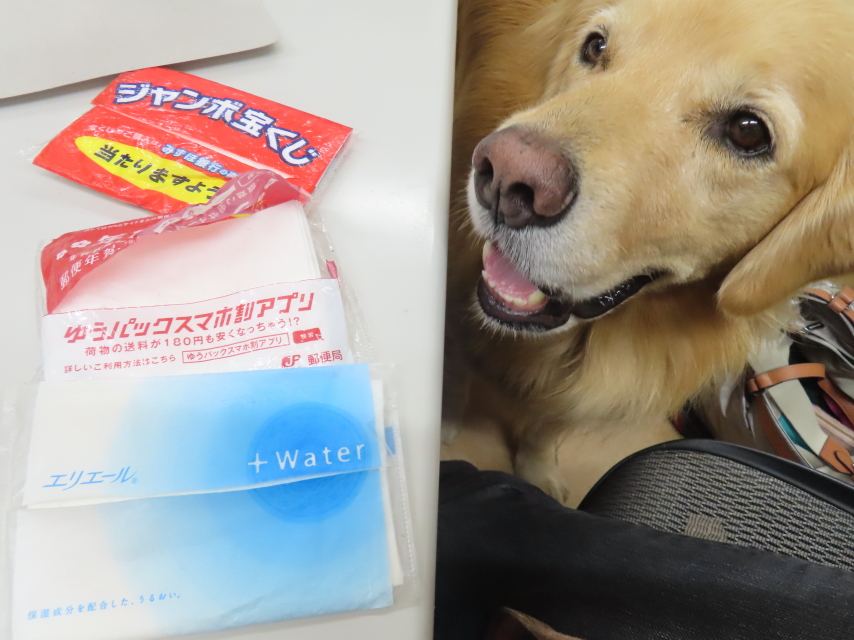 ファイル 8626-5.jpg