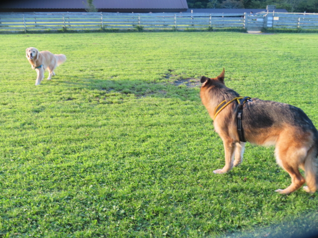 ファイル 8628-1.jpg