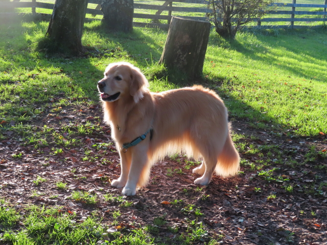 ファイル 8628-2.jpg