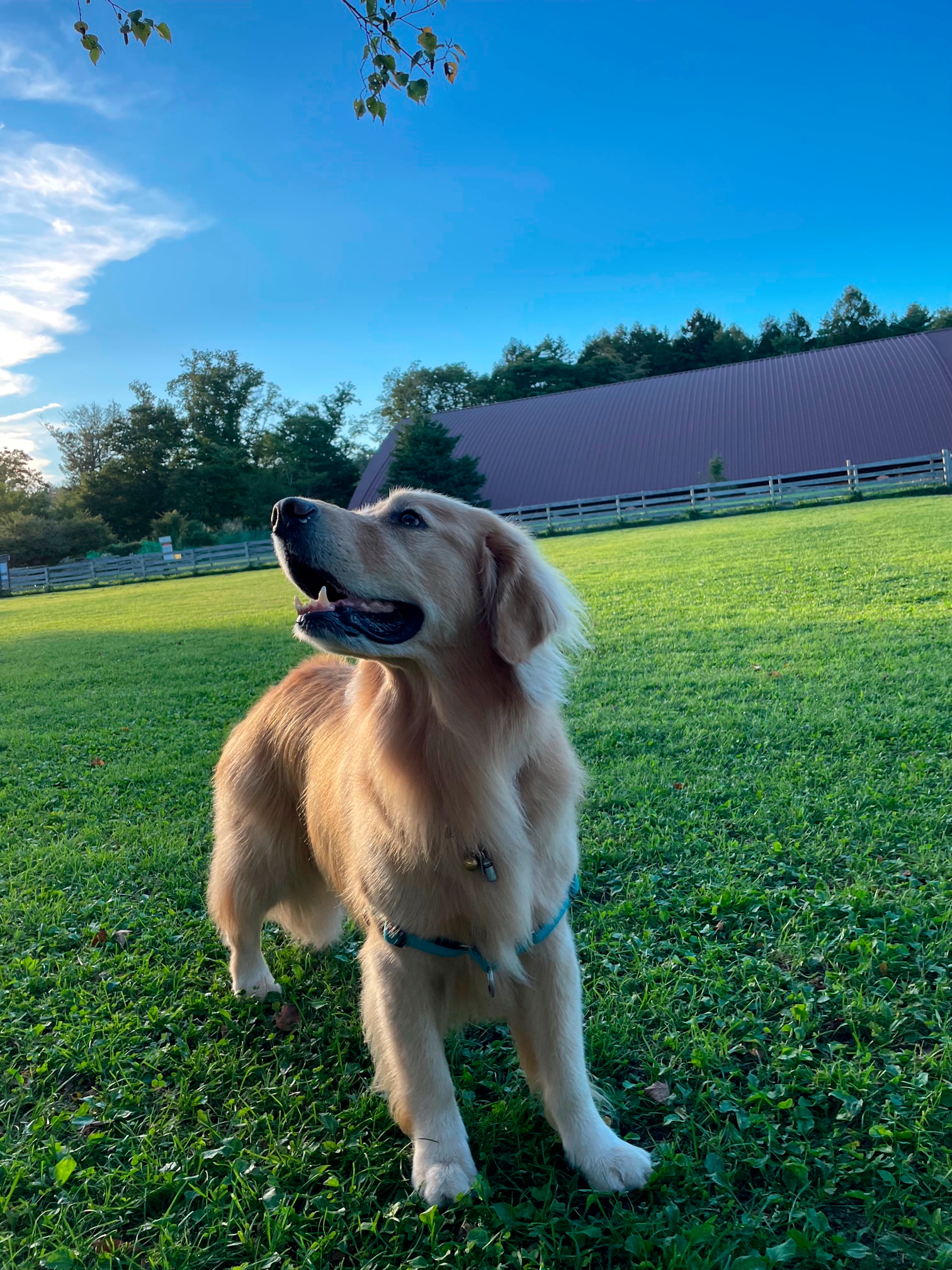 ファイル 8628-3.jpg