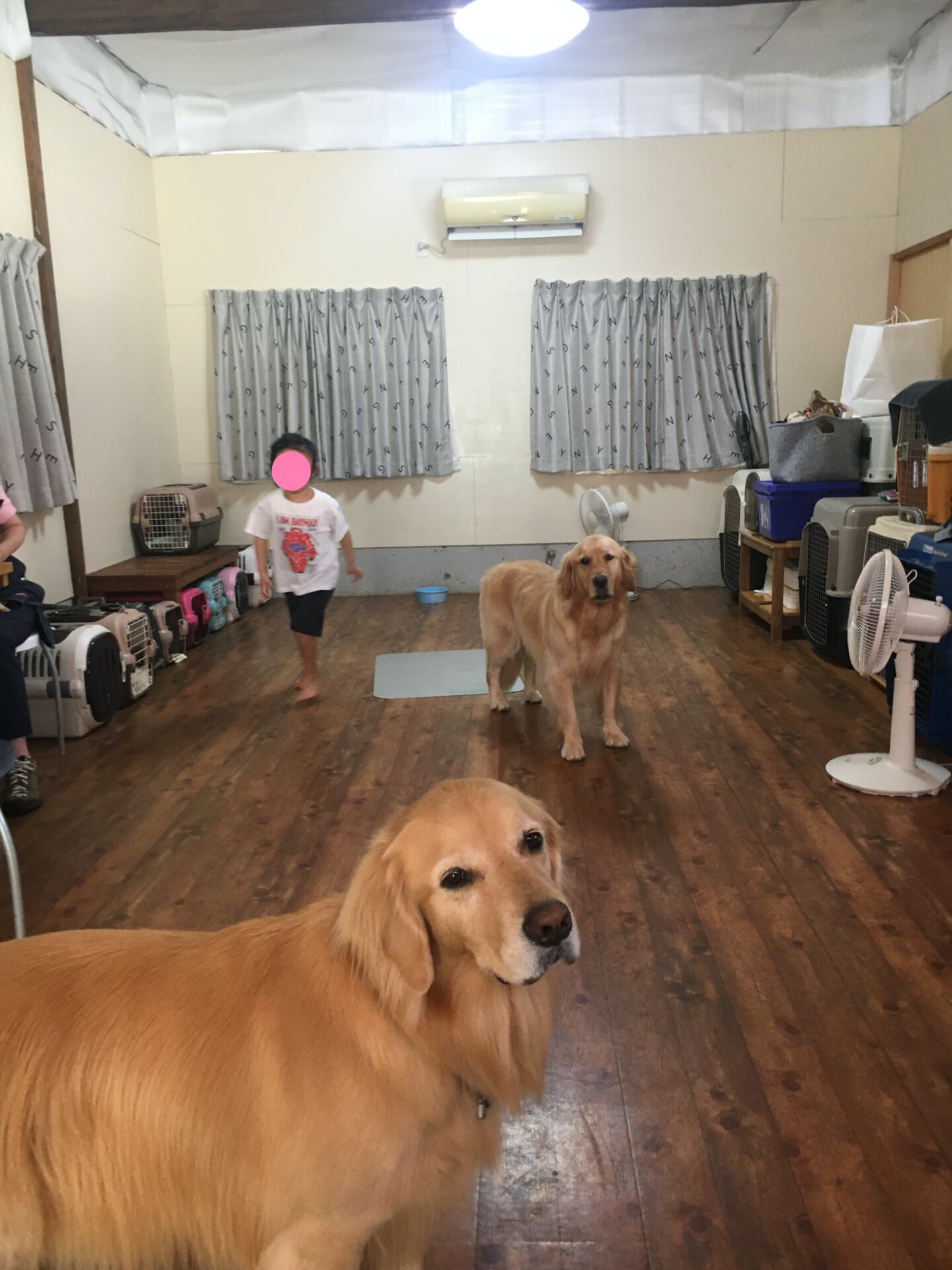 ファイル 8629-1.jpg