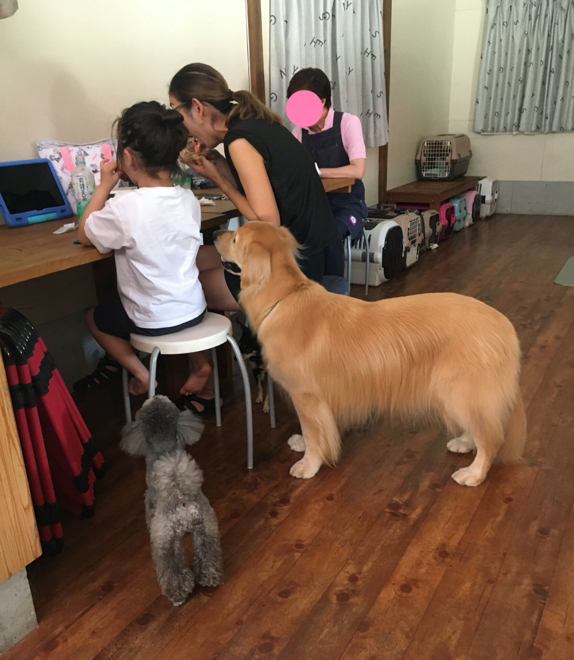 ファイル 8629-2.jpg