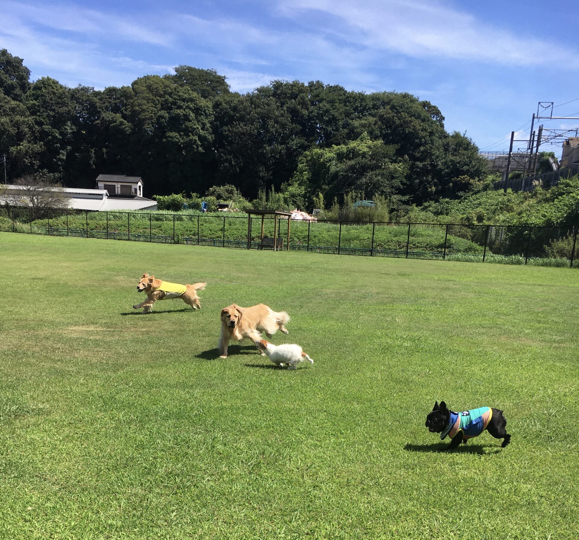 ファイル 8629-3.jpeg