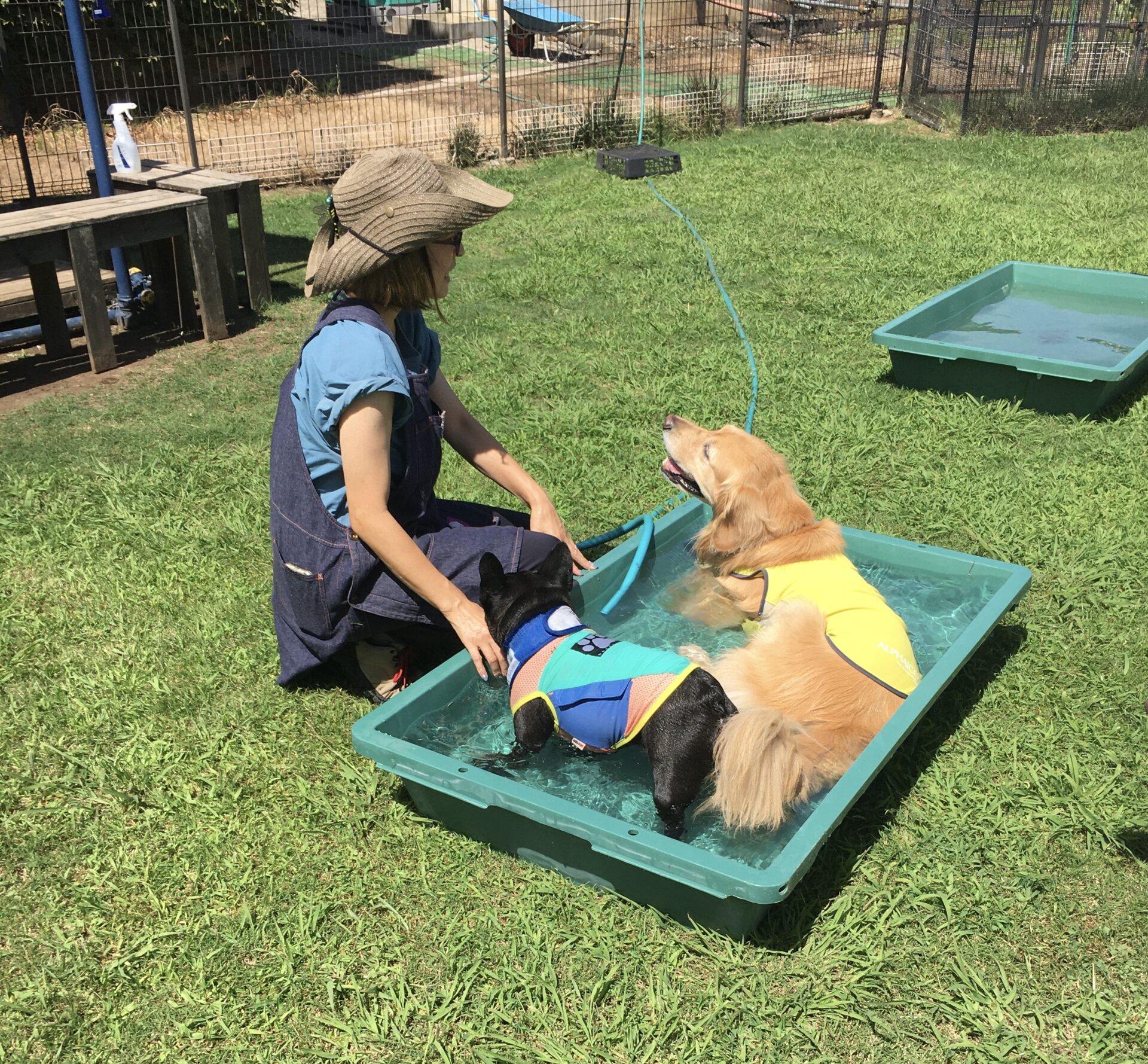 ファイル 8629-4.jpeg