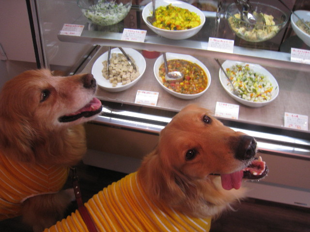 ファイル 863-2.jpg