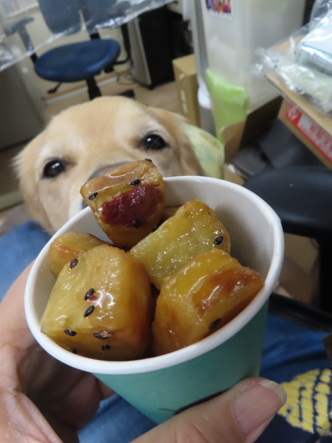 ファイル 8630-4.jpg