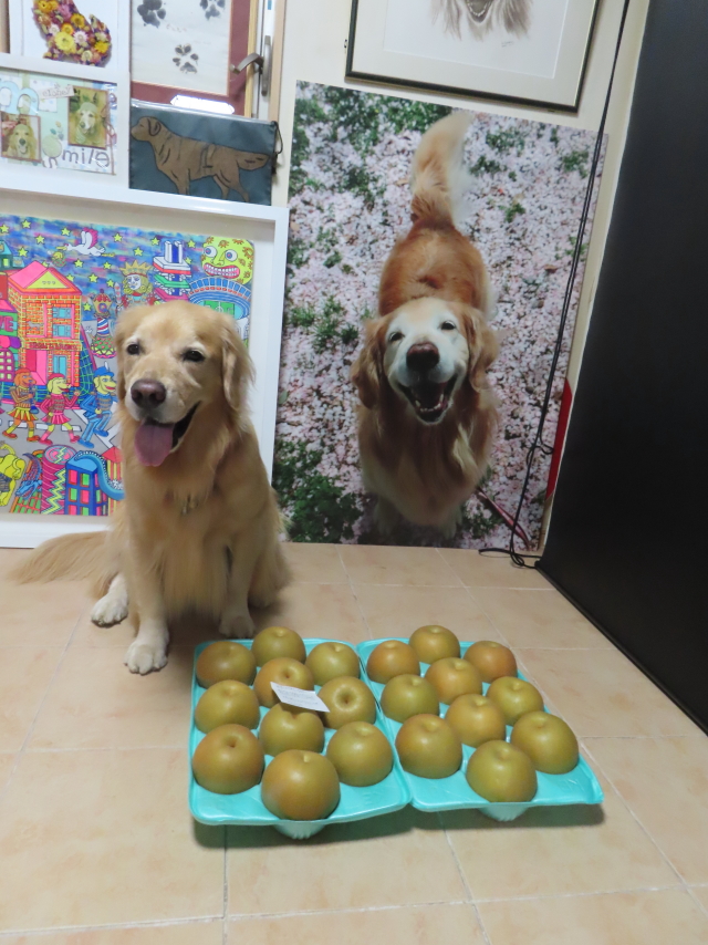 ファイル 8632-3.jpg