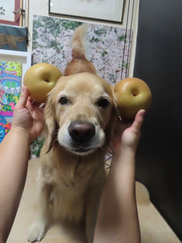 ファイル 8632-4.jpg