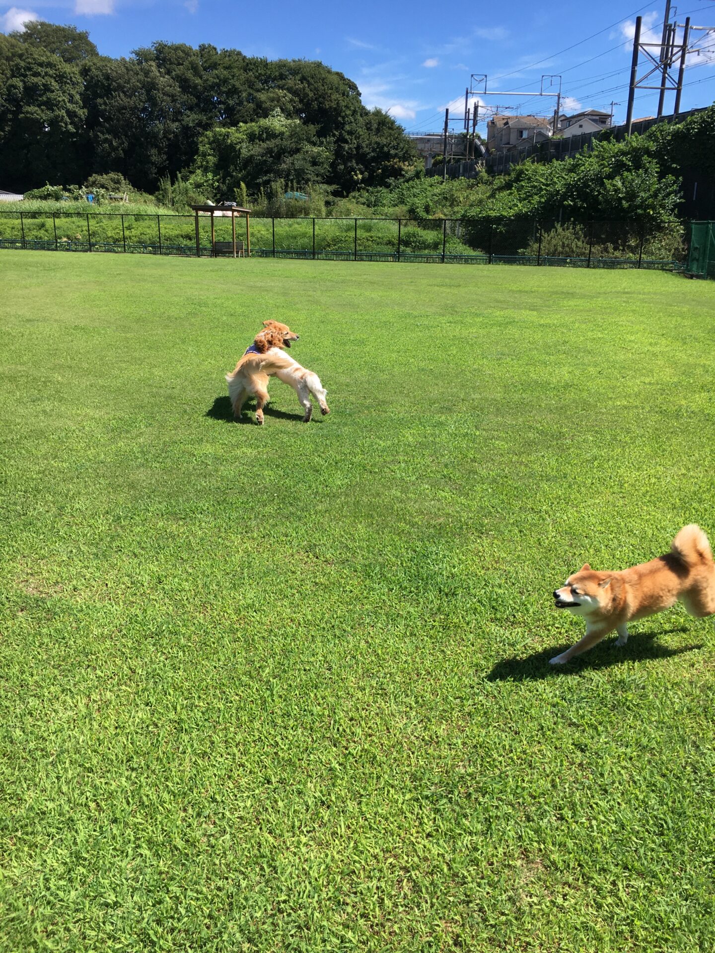 ファイル 8633-2.jpeg