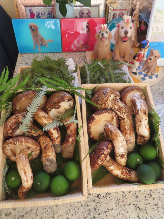 ファイル 8634-1.jpg