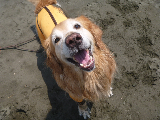 ファイル 8636-3.jpg