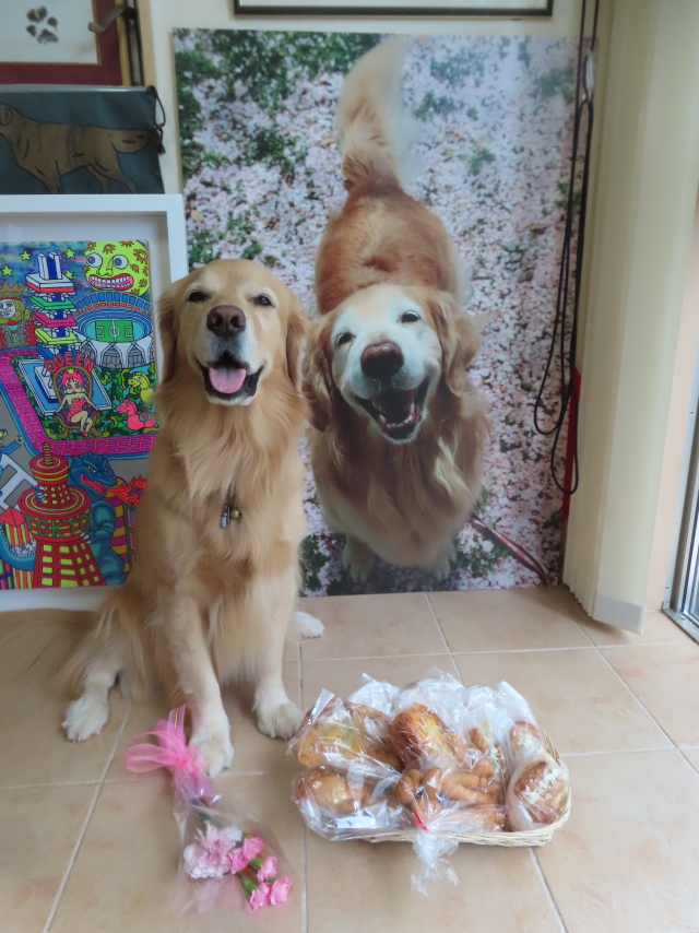 ファイル 8636-4.jpg