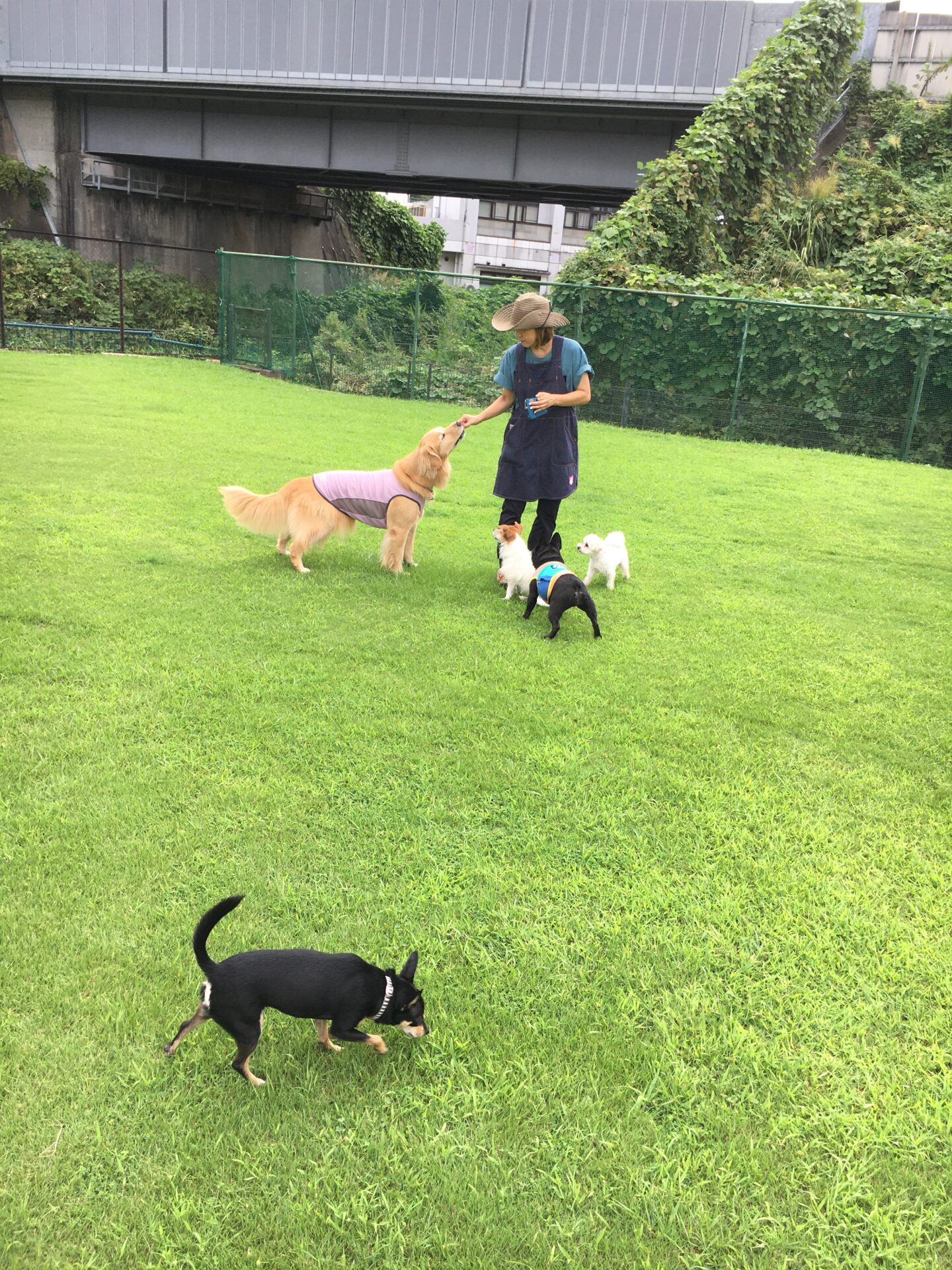 ファイル 8638-3.jpeg