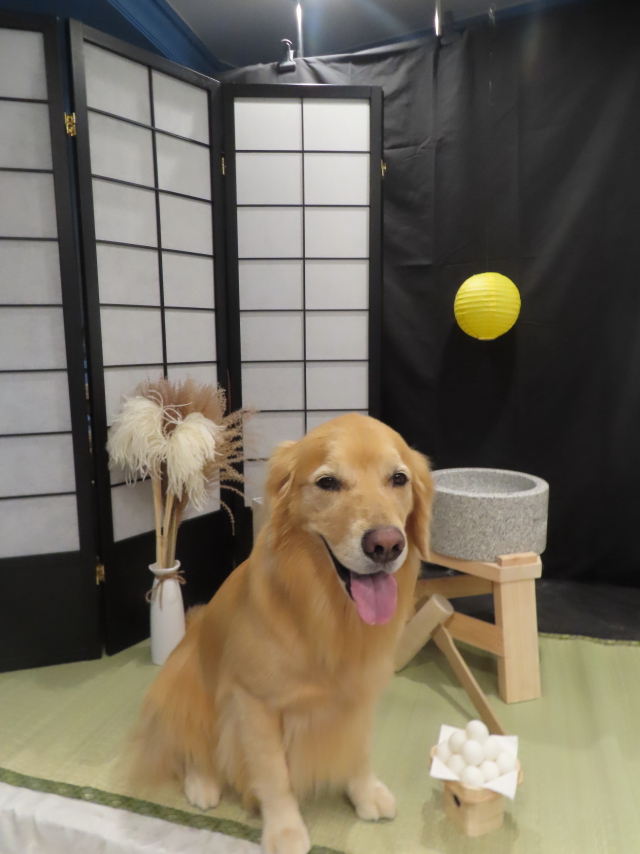 ファイル 8639-2.jpg