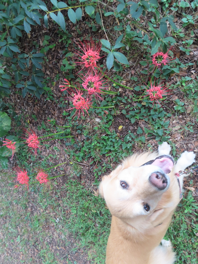 ファイル 8639-3.jpg