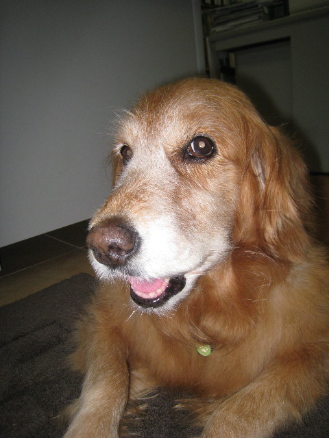 ファイル 864-1.jpg