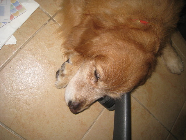 ファイル 864-2.jpg