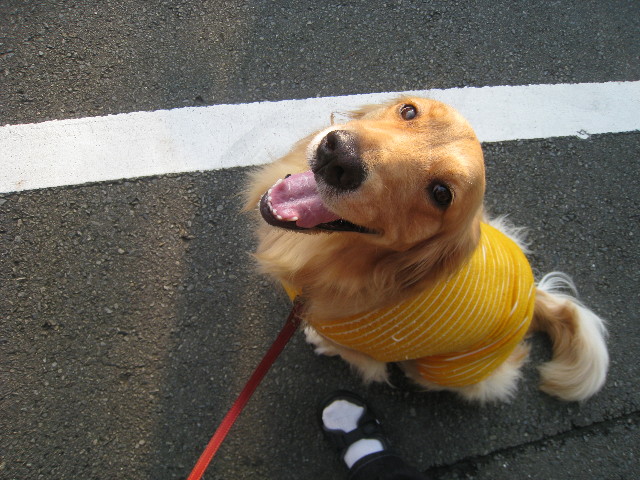 ファイル 864-3.jpg