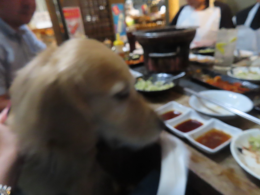 ファイル 8640-3.jpg