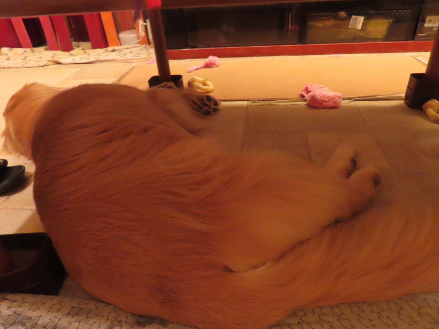 ファイル 8640-5.jpg