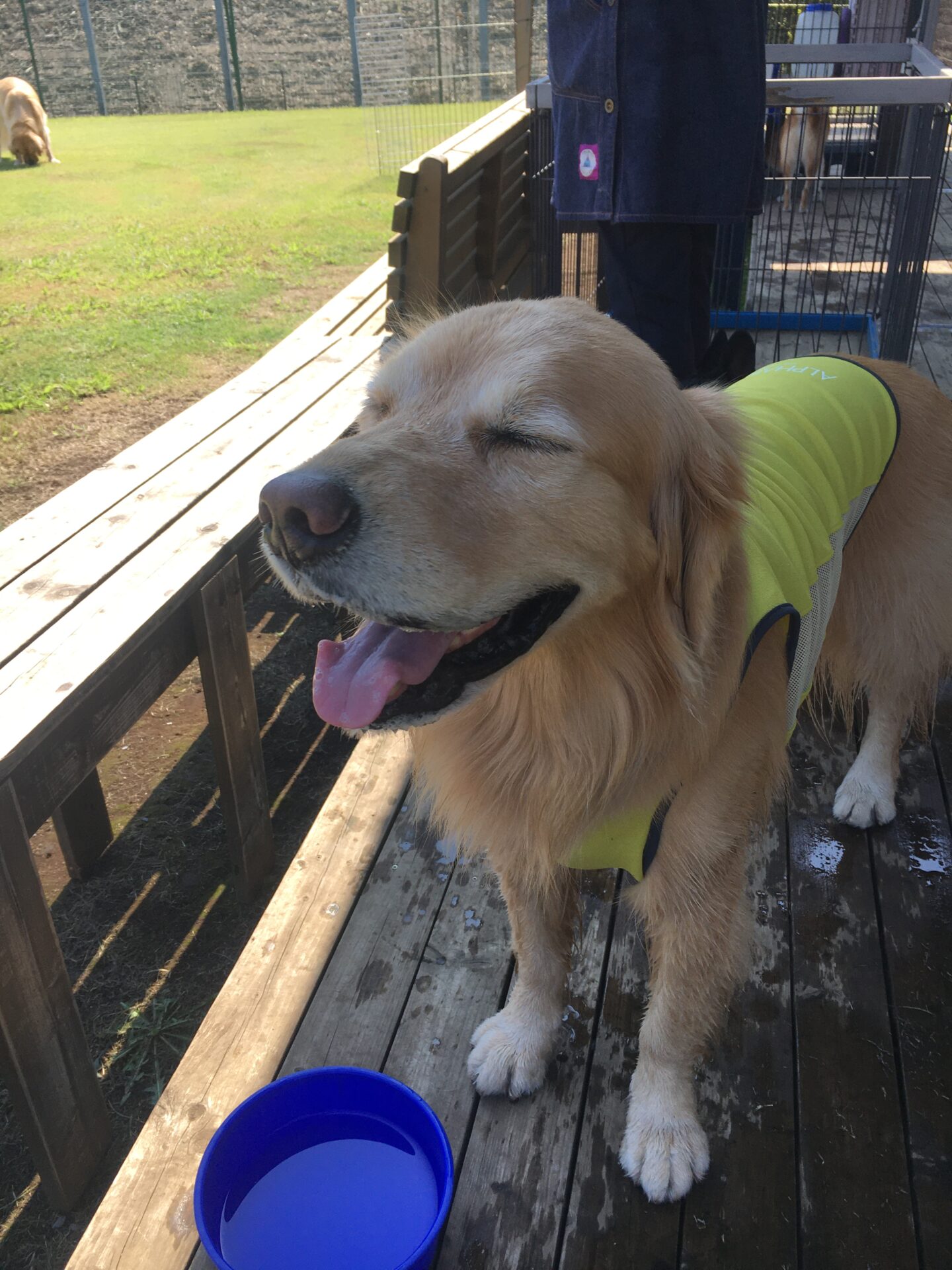 ファイル 8641-1.jpeg