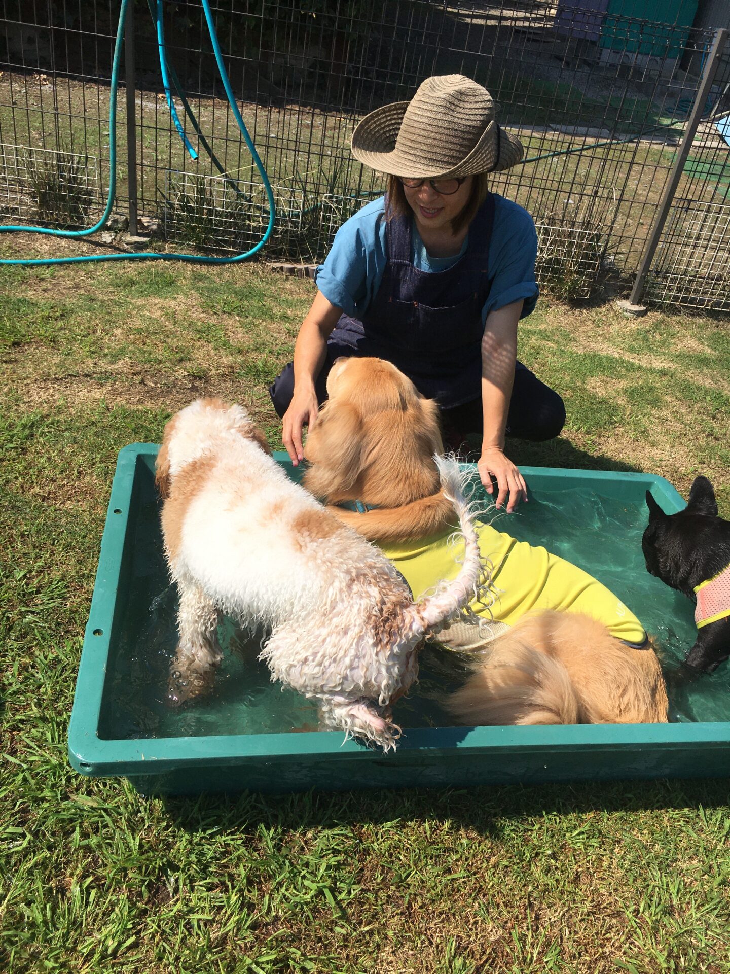 ファイル 8641-4.jpeg