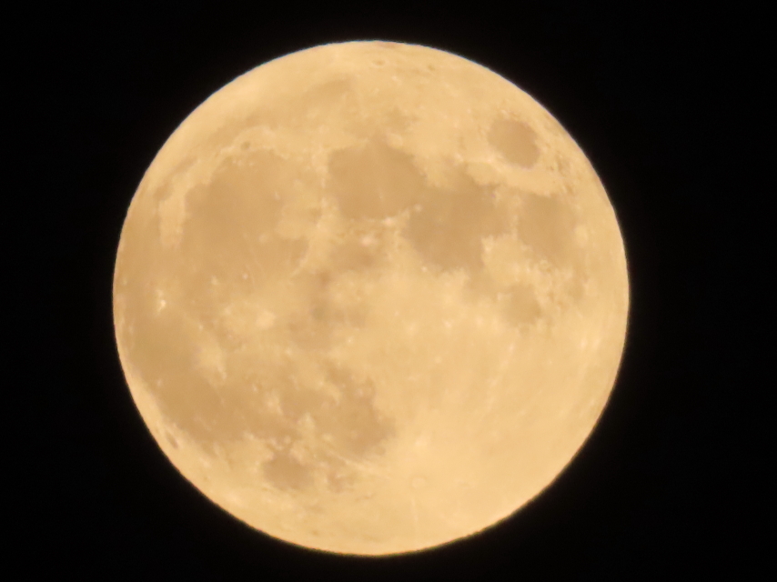 ファイル 8642-1.jpg