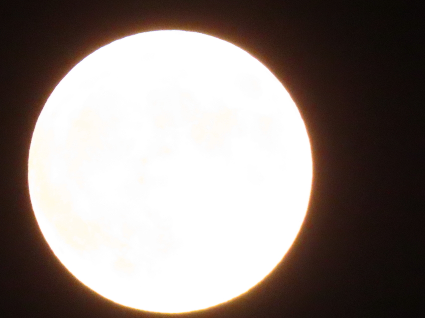 ファイル 8642-4.jpg