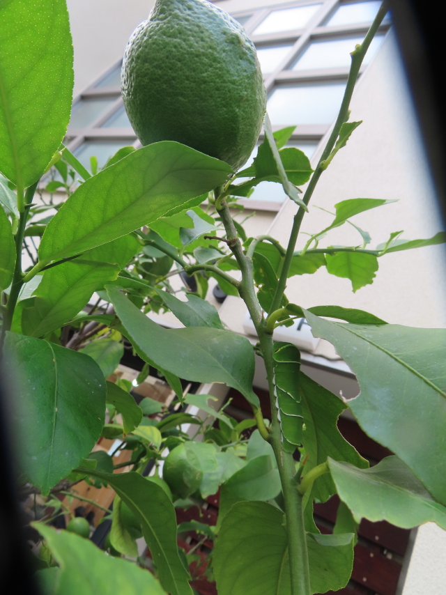 ファイル 8644-3.jpg