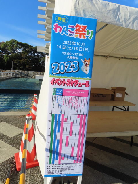 ファイル 8648-4.jpg