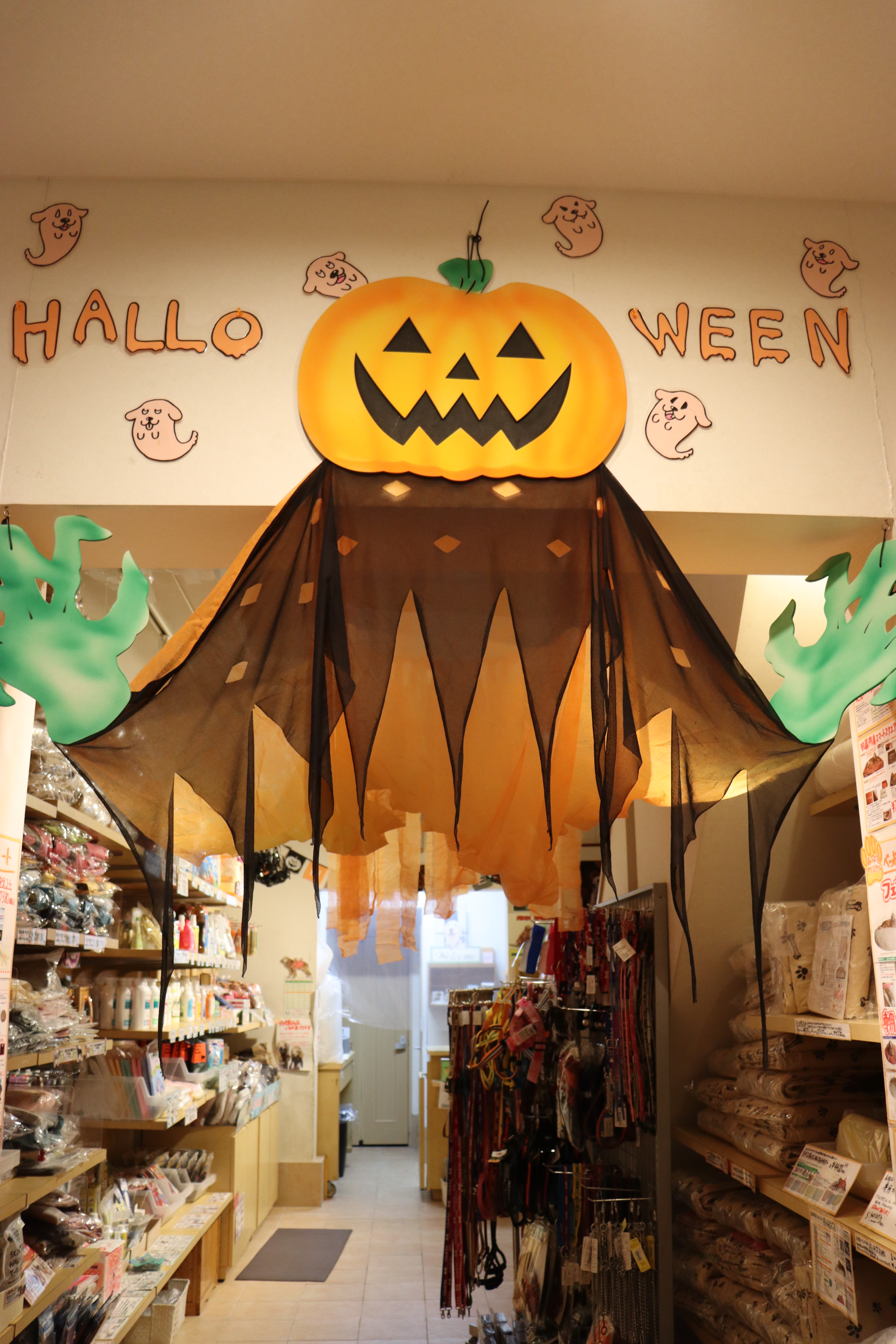 ファイル 8649-4.jpg