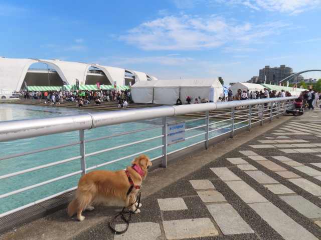 ファイル 8651-1.jpg