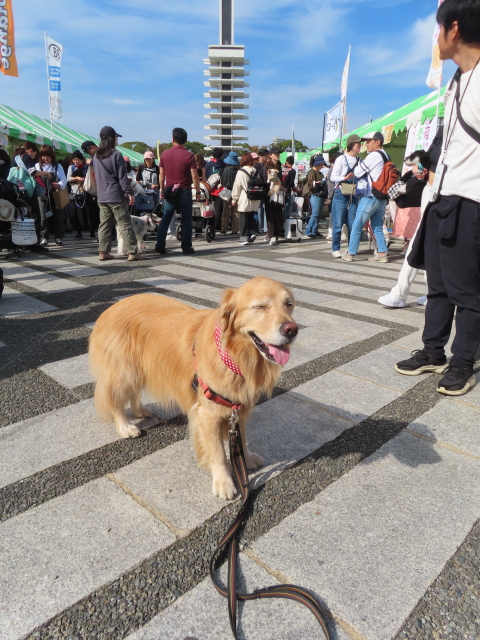 ファイル 8651-2.jpg