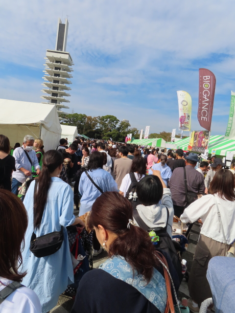 ファイル 8651-3.jpg