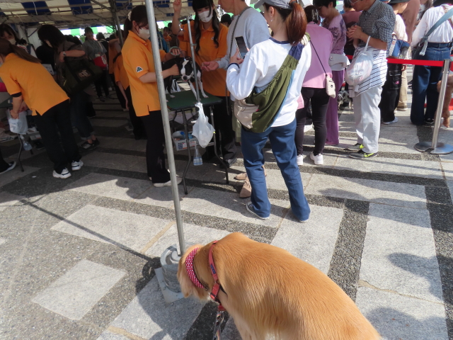 ファイル 8651-4.jpg