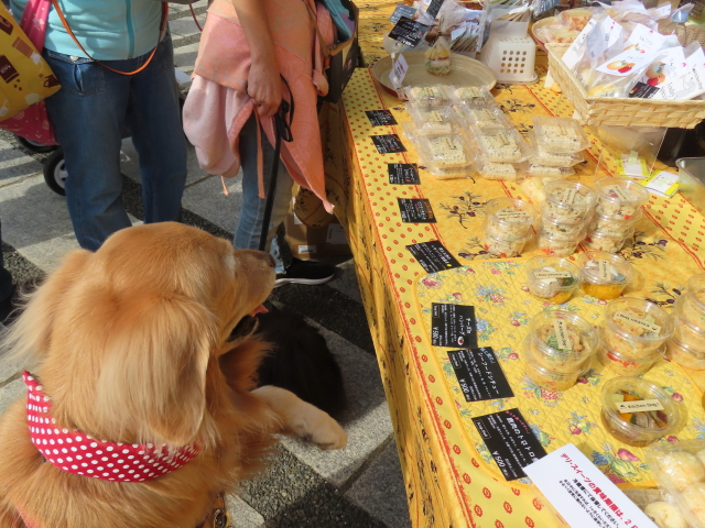 ファイル 8651-5.jpg