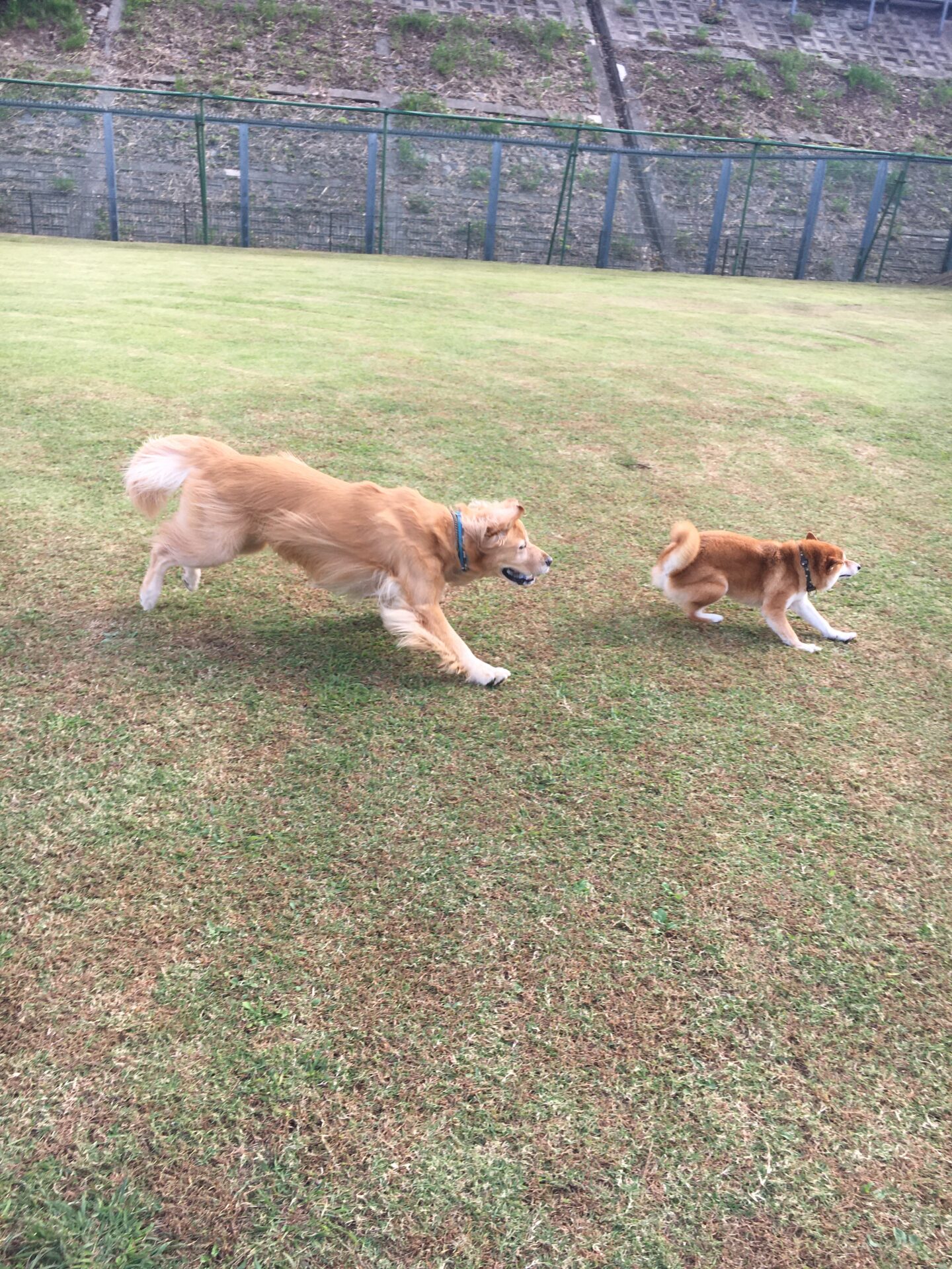 ファイル 8652-3.jpeg