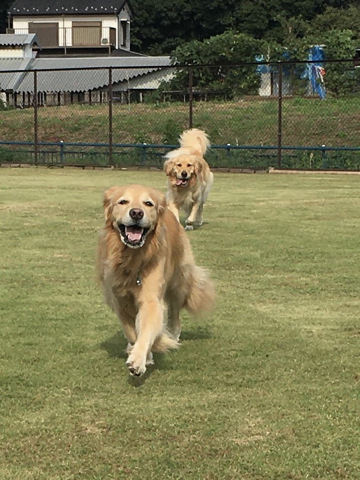 ファイル 8652-5.jpeg