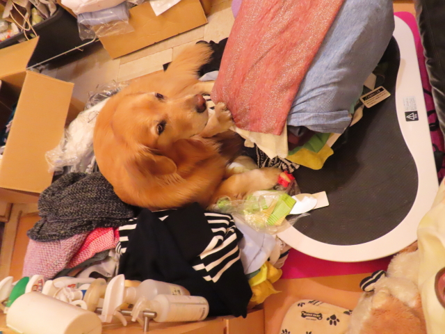 ファイル 8654-4.jpg