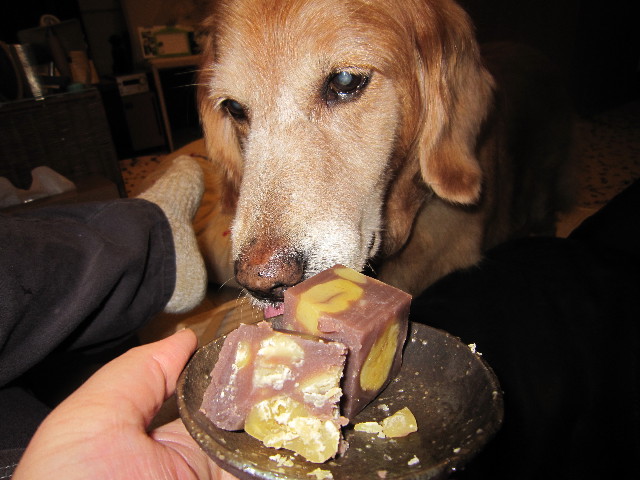 ファイル 8655-1.jpg